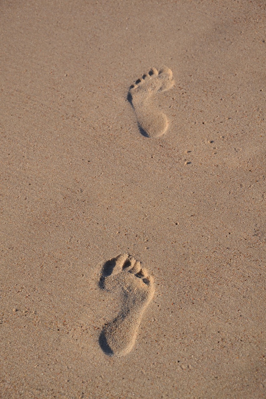 pieds2